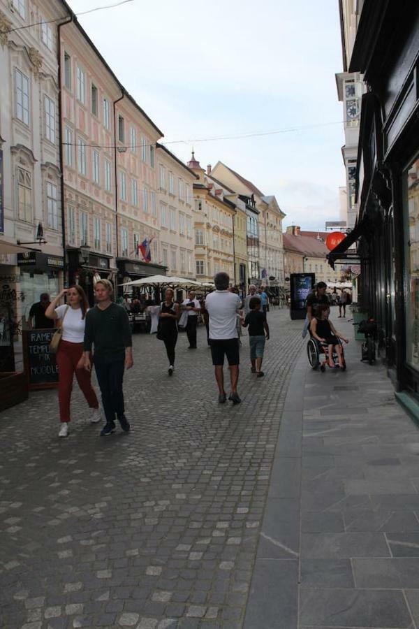 Lovely Old City-Center Apartment Lublana Zewnętrze zdjęcie