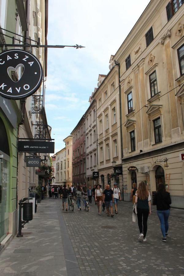 Lovely Old City-Center Apartment Lublana Zewnętrze zdjęcie